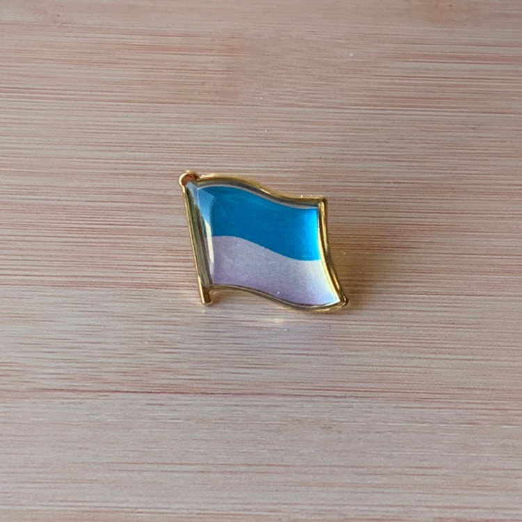 Pavlov Flag lapel pin